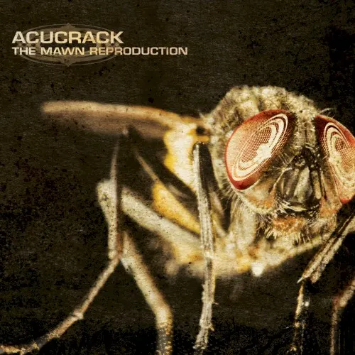 The Mawn Reproduction — DJ- Acucrack