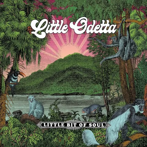 Little Bit of Soul — Little Odetta
