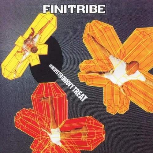 An Unexpected Groovy Treat — FINI TRIBE