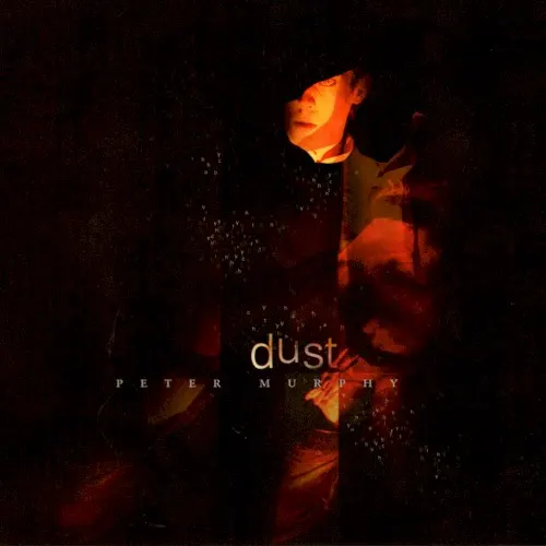 Dust — Peter Murphy