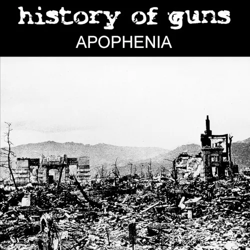 Apophenia — History of Guns