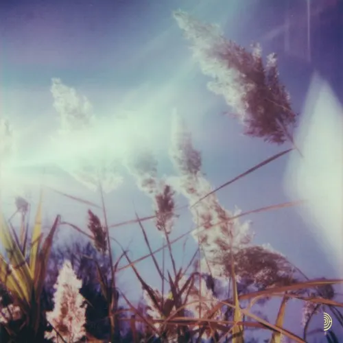 Stanza IV — Benoit Pioulard