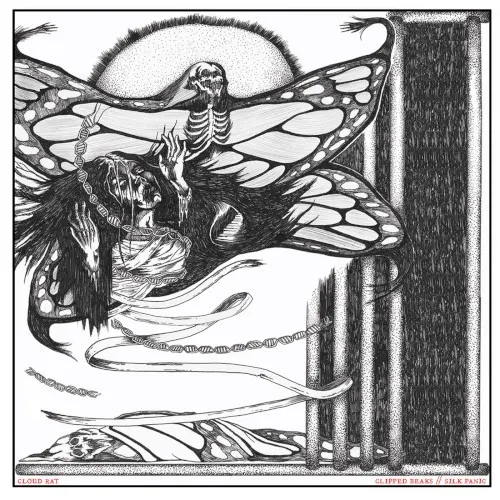Clipped Beaks / Silk Panic — Cloud Rat