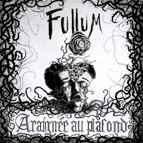Araignée au plafond — Fullum
