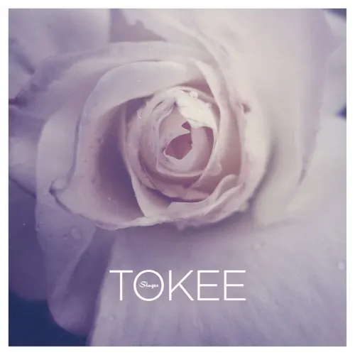 Stages — Tokee