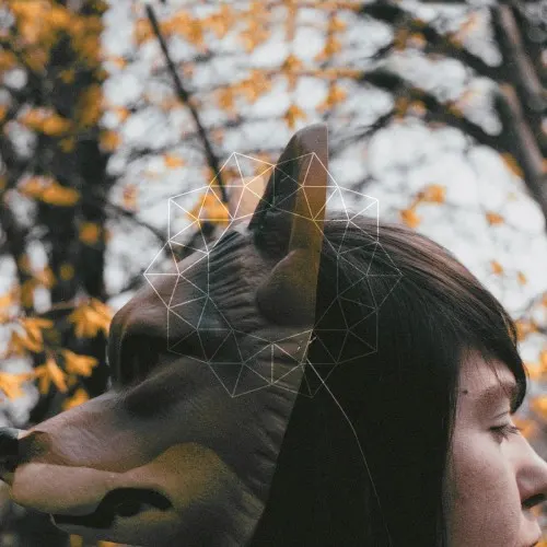 Can You Prove I Was Born — Shuttle  358