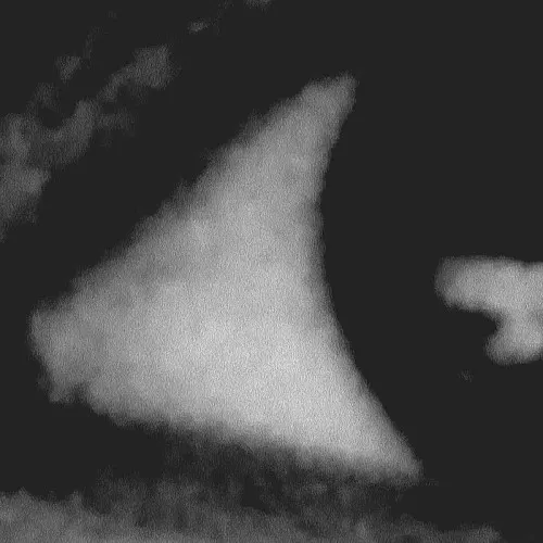 Pale Eyes — VEIL OF LIGHT