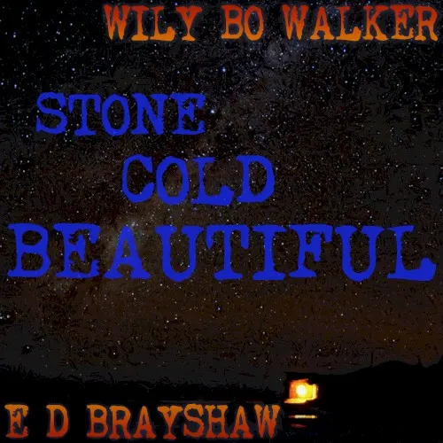 Stone Cold Beautiful — Wily bo Walker