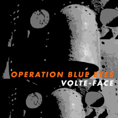 Volte-face — Operation Blue Eyes