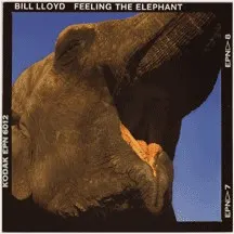 Feeling the Elephant — Bill Lloyd