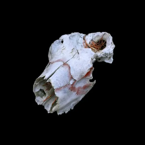 untitled - circa 2014 — Vladislav Delay