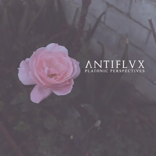 Platonic Perspectives (Brazilian edition) — Antiflvx