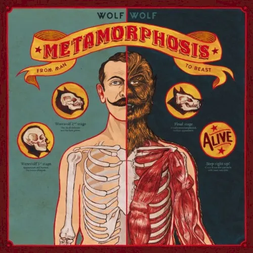 Metamorphosis — WolfWolf