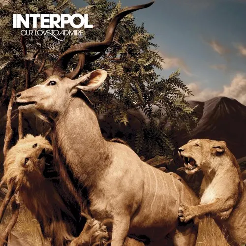 Our Love to Admire — INTERPOL
