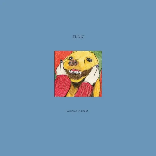 Wrong Dream — Tunic