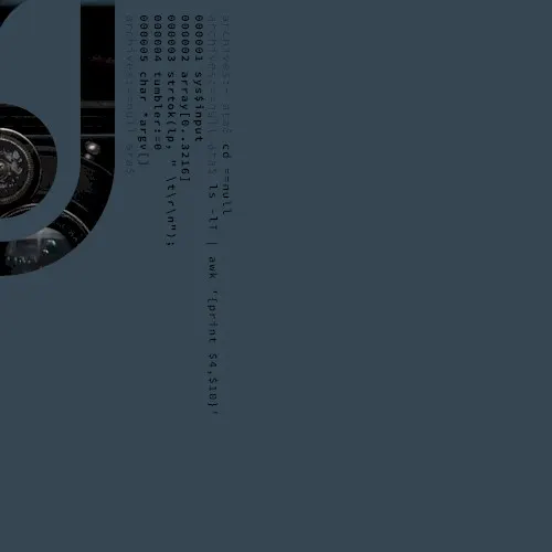 ==null — Access To Arasaka