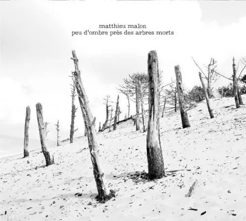 Peu d'Ombre Près des Arbres Morts — Matthieu Malon