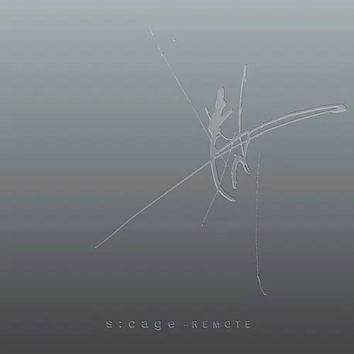 Remote — S-Cage