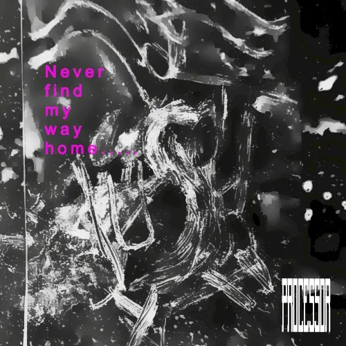 Never Find My Way Home... — Processor