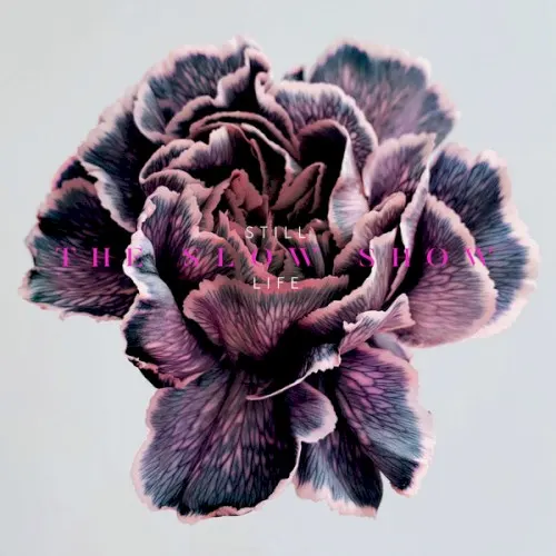 Still Life — The Slow Show