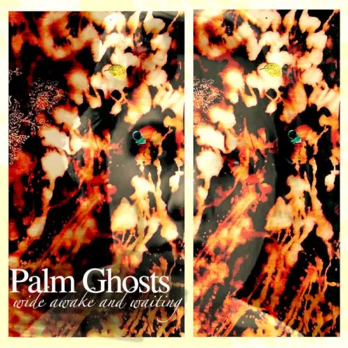 Wide Awake and Waiting — Palm Ghosts