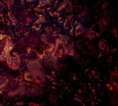 Rhizome — PLAGUE RIDER