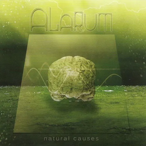 Natural Causes — Alarum