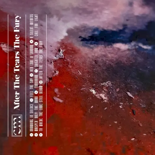 After The Tears The Fury — Closed Mouth