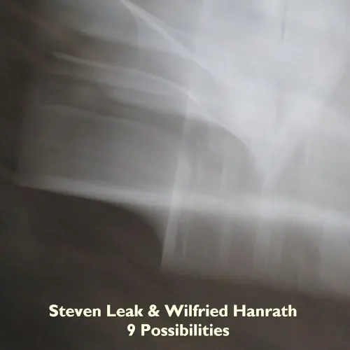 9 Possibilities — Wilfried Hanrath