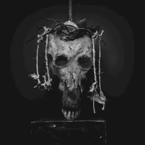 Acermeh — Treha Sektori