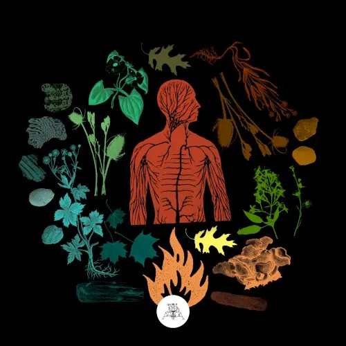 Bear Creek — Camp of Wolves