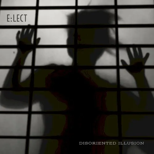 Disoriented Illusion — e-lect