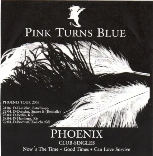 Phoenix — Pink Turns Blue