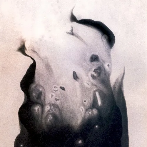 Salt — Marla Hansen