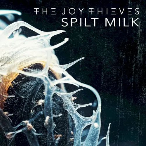 Spilt Milk — The Joy Thieves