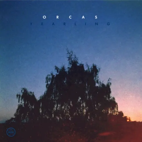 Yearling — Orcas