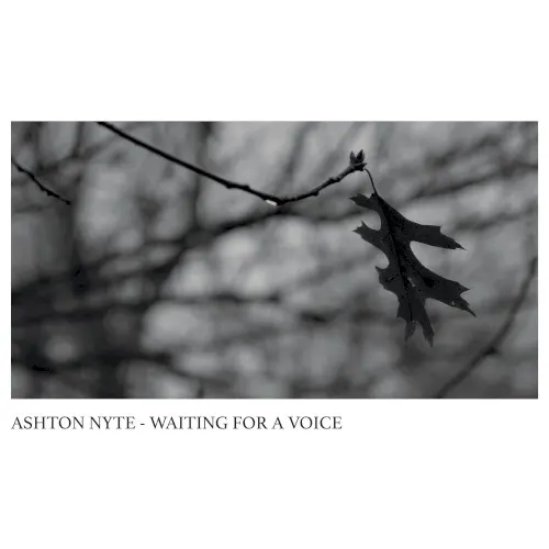 Waiting for a Voice — Ashton Nyte