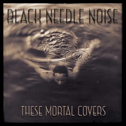 These Mortal Covers — Black Needle Noise