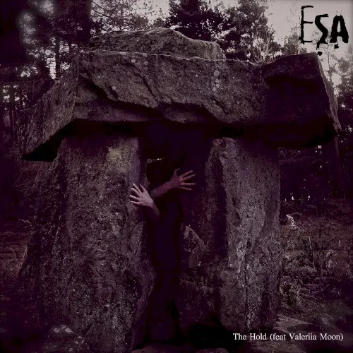 The Hold — ESA