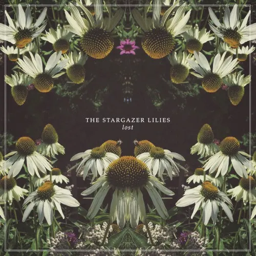 Lost — Stargazer lilies