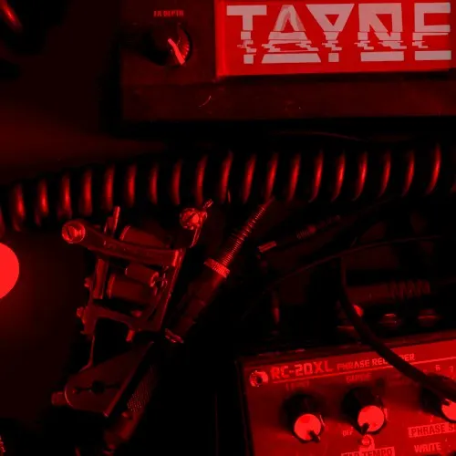 Wet Markets - demos — Tayne