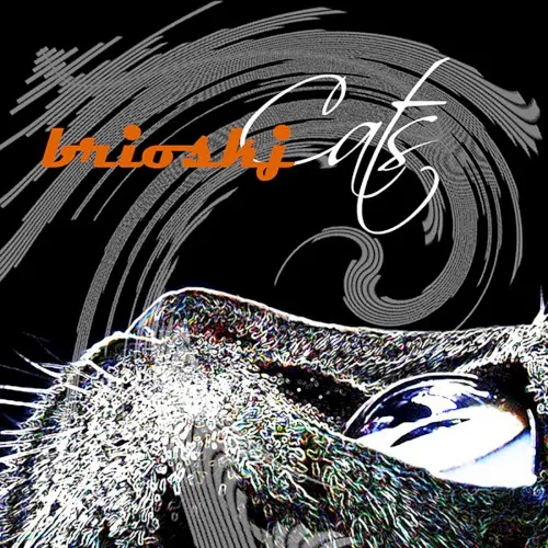 Cats (remastered) — Brioskj