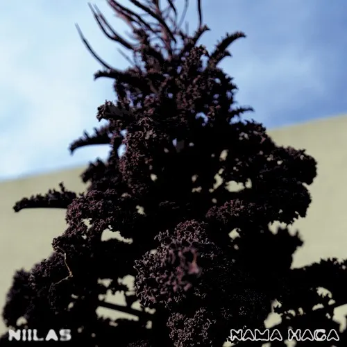 Nama Haga — Niilas