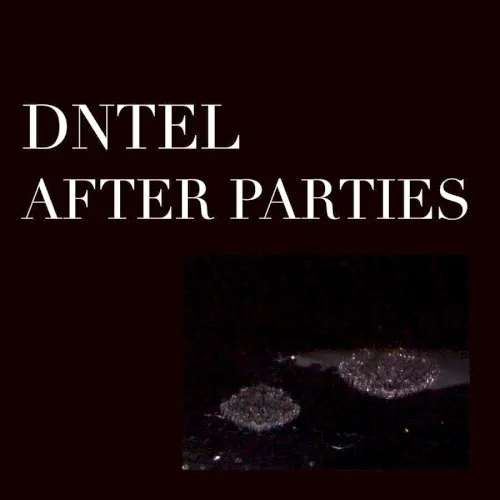 After Parties 2 — Dntel