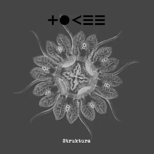 Struktura — Tokee