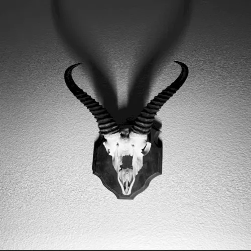 Mini EP II — Pill Brigade