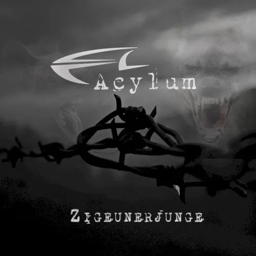 Zigeunerjunge — Acylum