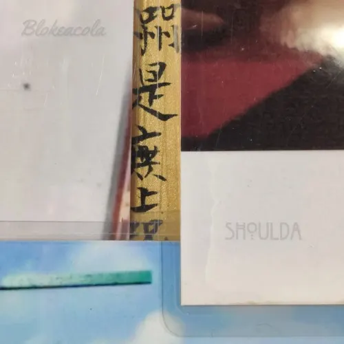 Shoulda — Blokeacola