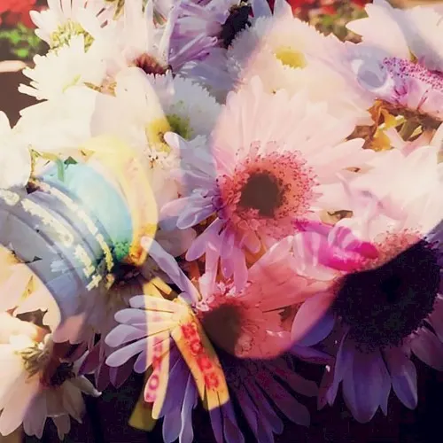 Illuminated 1989 — The Veldt
