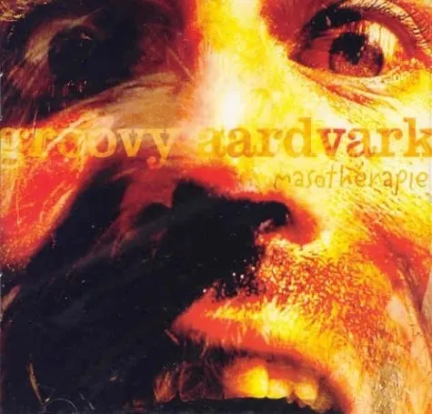Masothérapie — Groovy Aardvark